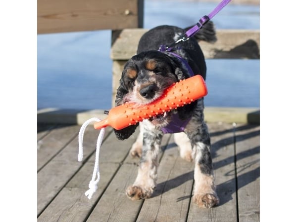 DOGMAN Gummidummies lille 26 cm