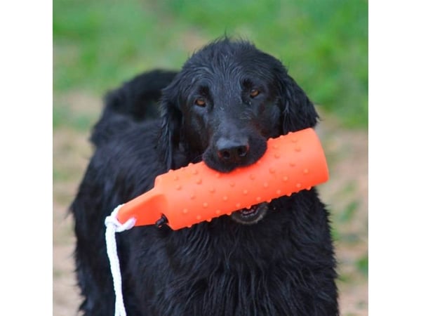 DOGMAN Gummidummies lille 26 cm