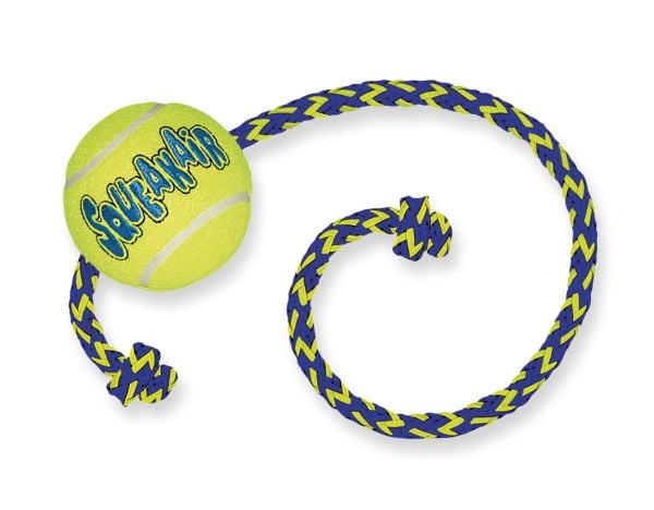 KONG Kong tennispallo köydellä M