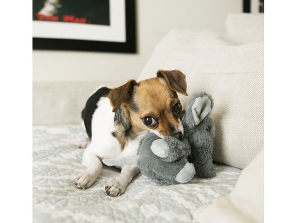 Kong Leksak Comfort Kiddos Elephant Grå Xs 15cm