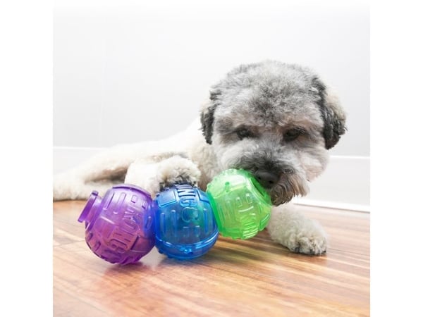 KONG Lock-it Small - hundeleke