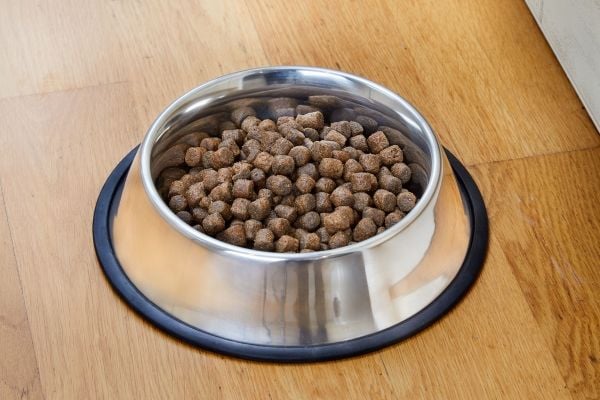 Dogman Matskål Med Antiglidkant Metall 1,8l 21cm