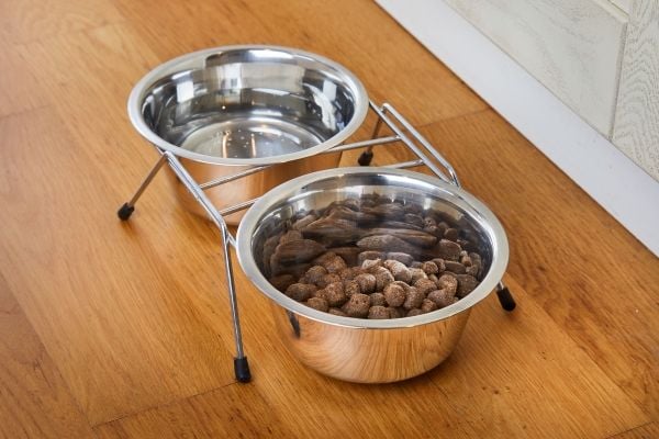 DOGMAN Hundebar 0,45 liter med 2 skåler 14cm