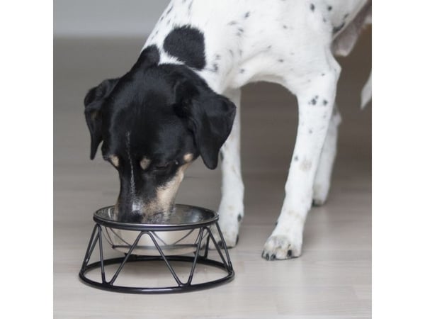 DOGMAN Ruokakuppi Menja M