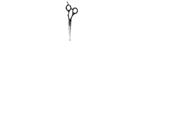 Andis Professionell Sax Rundad 16cm
