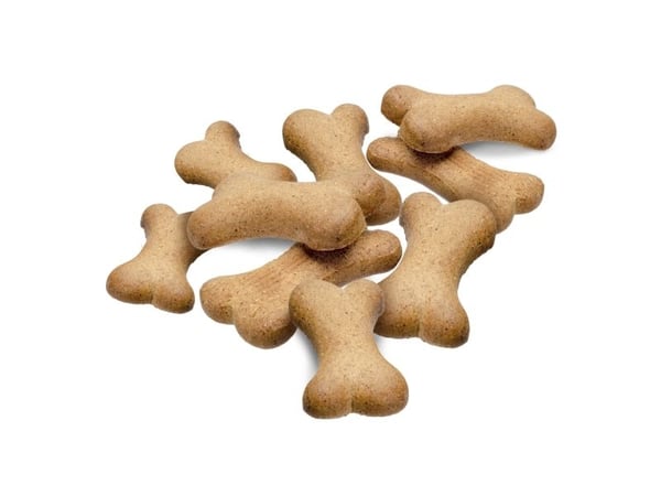 DOGMAN Lammas- ja katkarapuluu Large10 kg