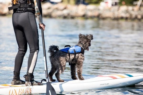 Baltic Hundflytväst Splash S