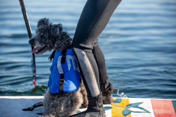 Baltic Hundflytväst Splash S