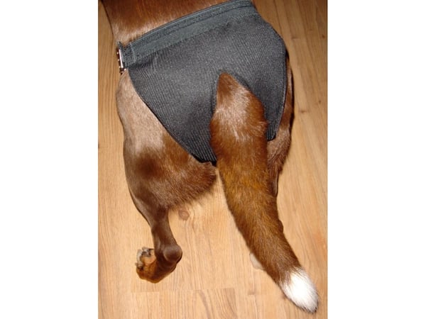 DOGMAN Juoksulappu sor justerb L