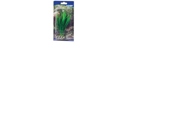 Dohse Cyperus, 16 cm