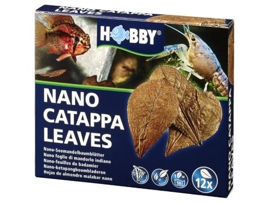 HOBBY Catappa blad Nano 12stk
