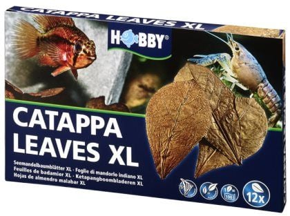 HOBBY Catappa blad XL 12 stk