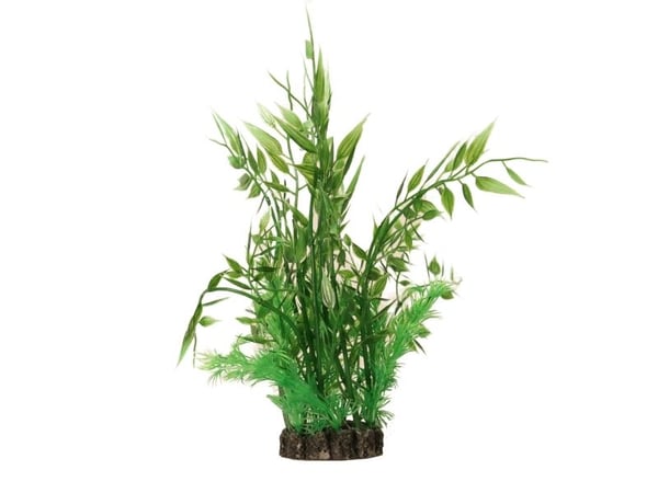 Dekorväxt 20cm