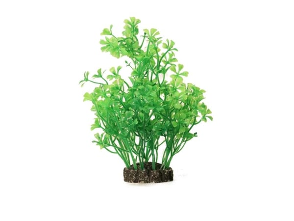 Dekorväxt 15cm