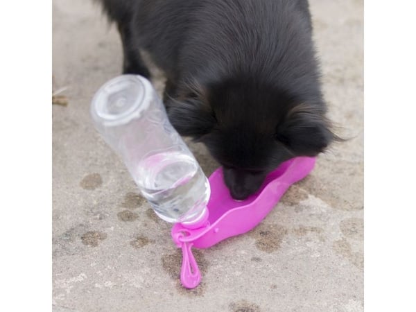 DOGMAN vesipullo Mille Rosa 500ml