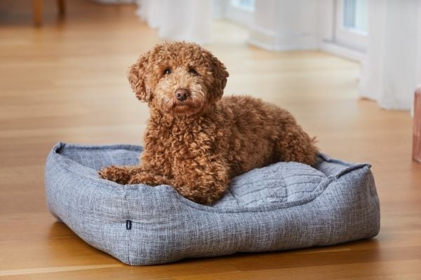 DOGMAN Hundeseng Klassisk Dame L 75cm