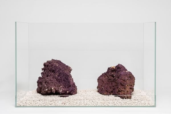 AQUADECO Jurassic Stone M /kg
