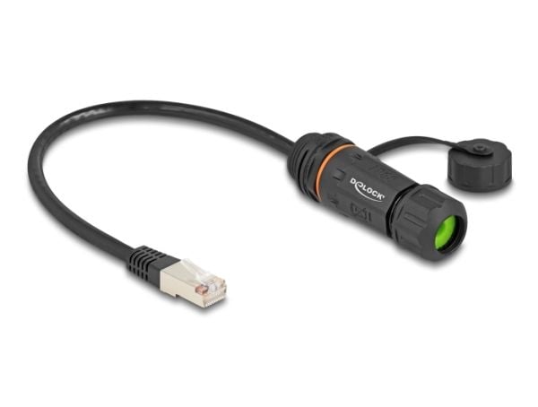 Delock - Nettverksforlengelseskabel - RJ-45 (hann) til RJ-45 (hunn) - 25 cm - 6 mm - STP - CAT 6a - sealing cap, M20 thread, dust and waterproof (I...