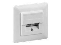 Wentronic - Upotettu pistorasia - CAT 5e - STP - RJ-45 X 2 - valkoinen