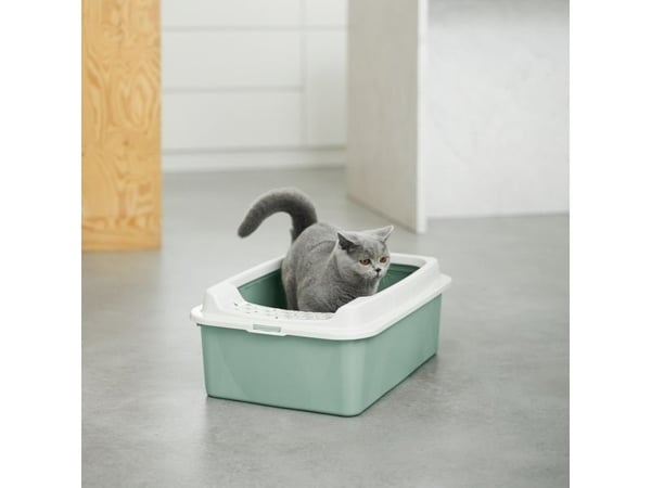 Rotho Bonnie, Katt, Åpen, Grønn, Grå, Spenne, 572 mm, 393 mm