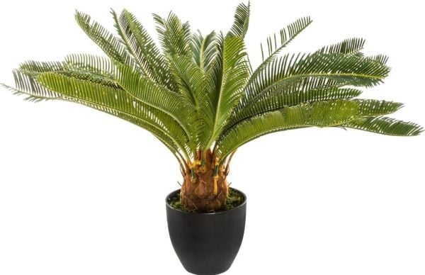 Atmosphera kunstig plante i potte PALMA CYKAS, stamme, 72 cm