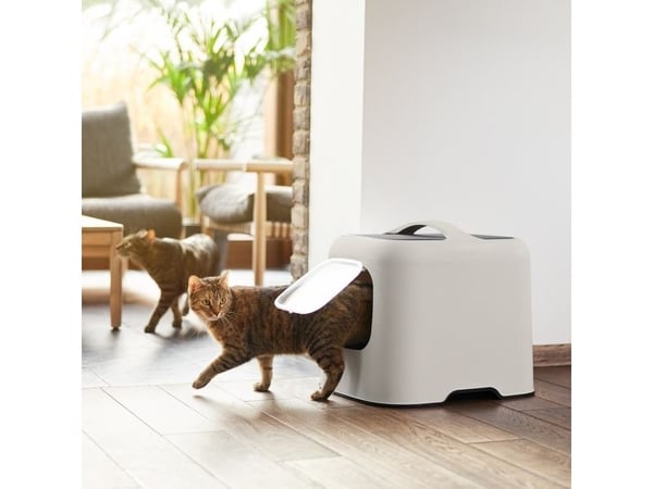Rotho BIALA, Katt, Kattsandlåda med tak, Beige, Plast, 395 mm, 510 mm