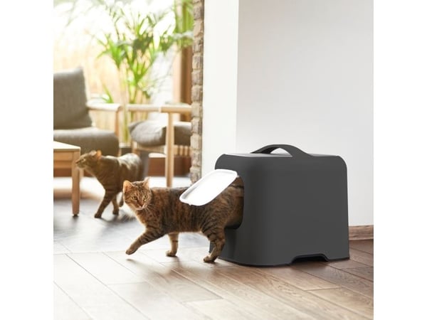 Rotho BIALA, Katt, Kattedo med lokk, Sort, Grå, Plast, 395 mm, 510 mm
