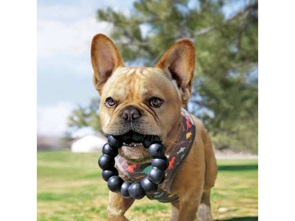 KONG Toy Extreme Ring