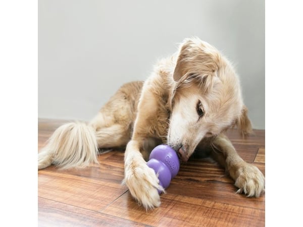 Kong Leksak Senior Lila M 9cm