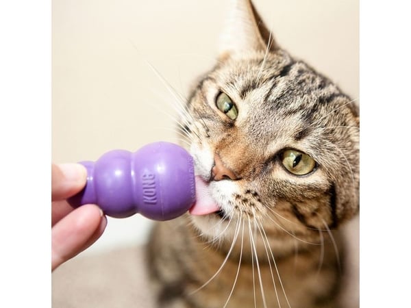 Kong Kattleksak Kitty Lila Xs