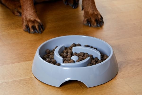 DOGMAN Matskål Alva Slow feed L grå