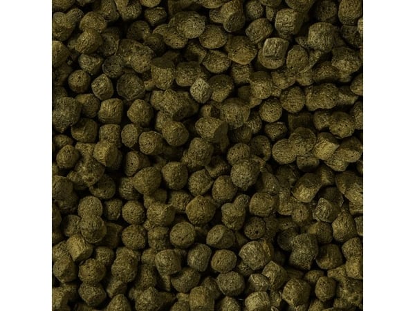 Sera Koi Color Large 21 l granulat - fôr til koi