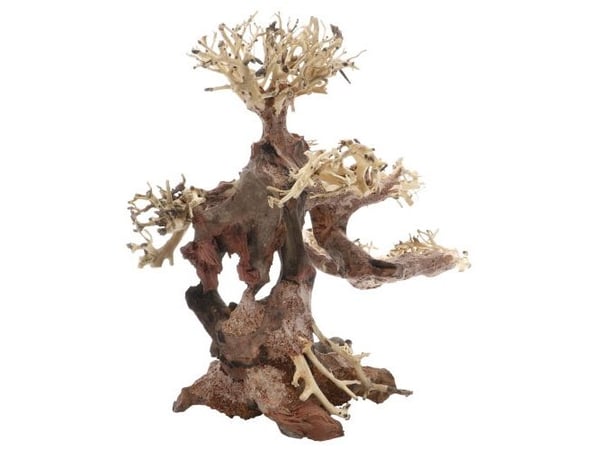 Dupla Bonsai M