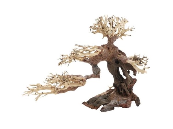 Dupla Bonsai M