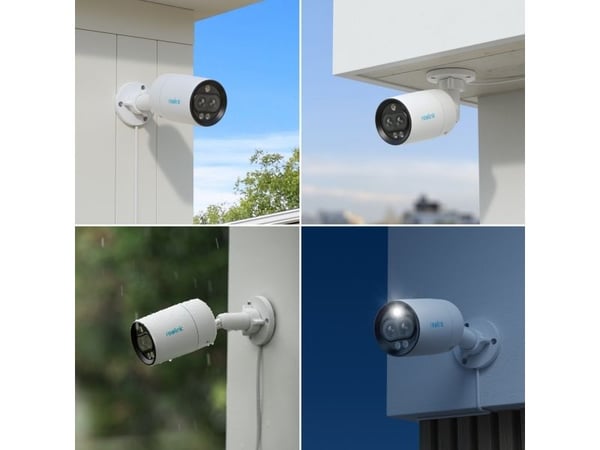 Reolink P330M, IP-sikkerhetskamera, Inne & Ute, Koblet med ledninger (ikke trådløs), Google Assistant, 450 lm, 6500 K