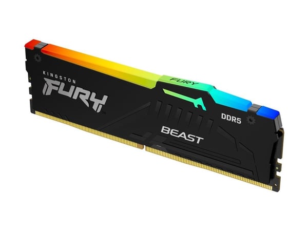 Kingston FURY Beast RGB - DDR5 - modul - 8 GB - DIMM 288-pin - 5600 MT/s / PC5-44800 - CL40 - 1.25 V - ikke-bufret - on-die ECC