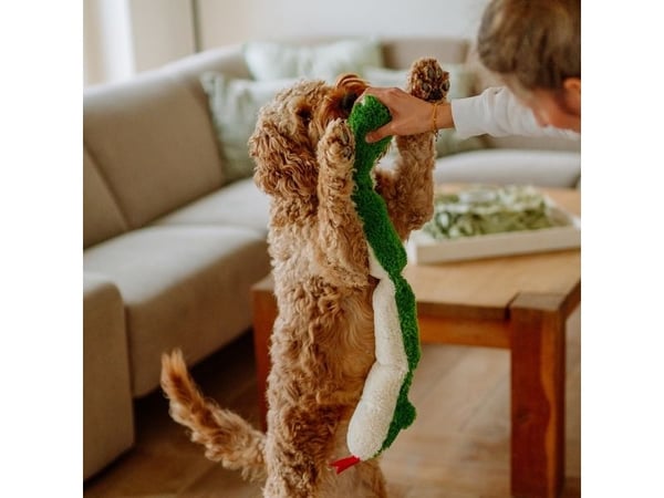 Nobby 67465, Hund, Plysjleke, Grønn, Plysh, Tilbakehenting, 850 mm