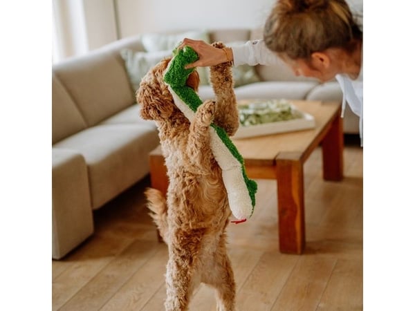 Nobby 67465, Hund, Plysjleke, Grønn, Plysh, Tilbakehenting, 850 mm