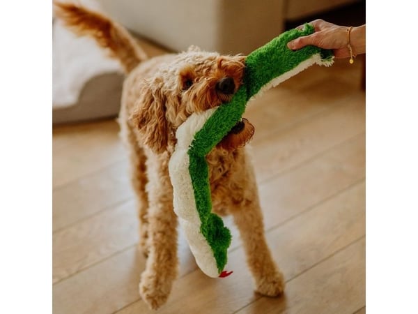 Nobby 67465, Hund, Plysjleke, Grønn, Plysh, Tilbakehenting, 850 mm