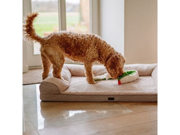 Nobby 67465, Hund, Plysjleke, Grønn, Plysh, Tilbakehenting, 850 mm