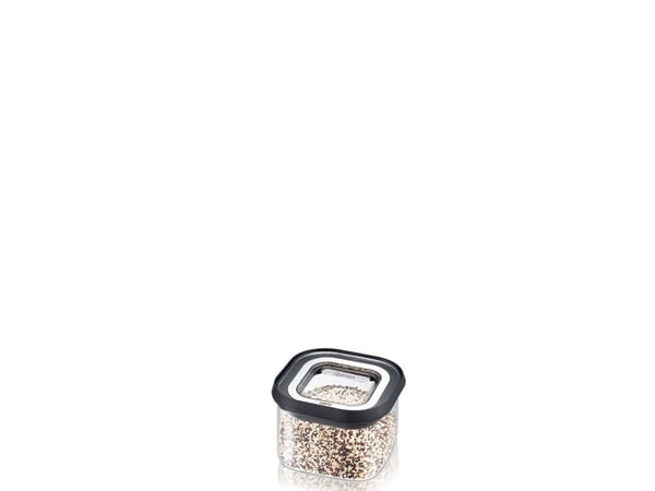 GEFU PANTRY, Beholder, Rektangulær, 0,4 l, Svart, Gjennomsiktig, Borosilikatglass, Plast, Silikon, Rustfritt stål, 110 mm