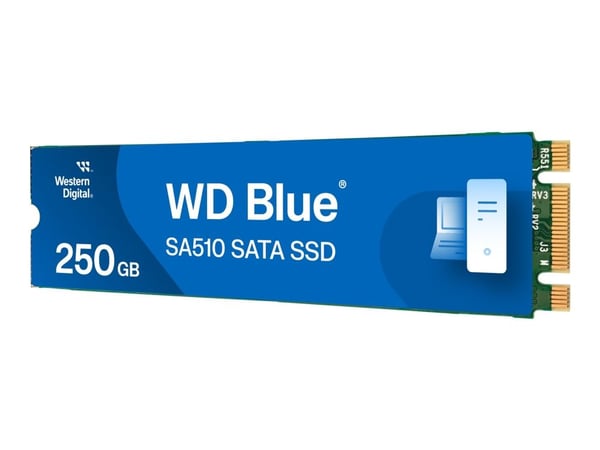WD Blue SA510 WDS250G3B0B - SSD - 250 GB - intern - M.2 2280 - SATA 6Gb/s - blå