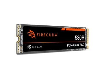 Seagate FireCuda 530R ZP1000GM3A063 - SSD - 1 TB - intern