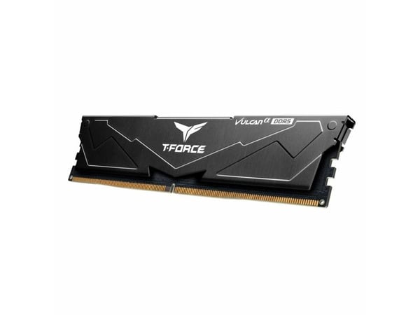Team Elite Plus - DDR5 - modul - 16 GB / PC5-48000 - CL30 - ikke-bufret - on-die ECC