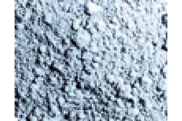 Pigment titanhvit 35 ml