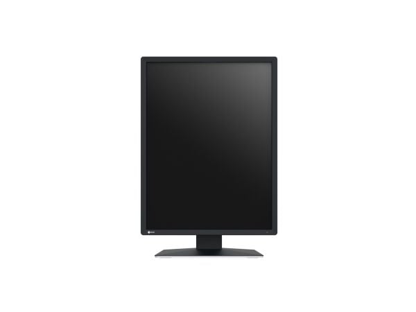 EIZO RadiForce MX217-SB - LED-skjerm - 2MP - farge - 21" - 1200 x 1600 - IPS - 500 cd/m² - 1800:1 - DVI-D, DisplayPort - svart