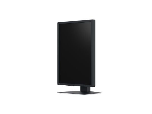 EIZO RadiForce MX217-SB - LED-skjerm - 2MP - farge - 21" - 1200 x 1600 - IPS - 500 cd/m² - 1800:1 - DVI-D, DisplayPort - svart