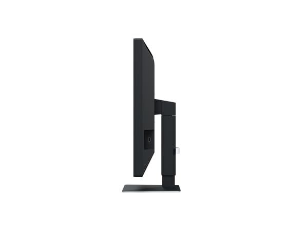 EIZO RadiForce MX217-SB - LED-skjerm - 2MP - farge - 21" - 1200 x 1600 - IPS - 500 cd/m² - 1800:1 - DVI-D, DisplayPort - svart