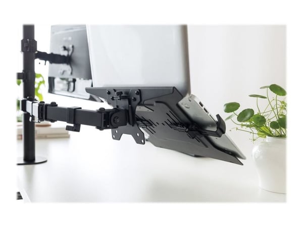Neomounts NOTEBOOK-V200 - Monteringskomponent (holder) - for notebook - svart - skjermstørrelse: 10"-15"