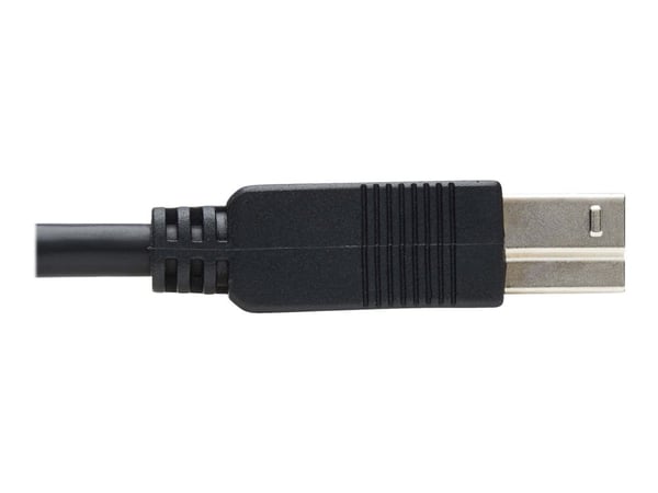 Eaton Tripp Lite Series USB 3.2 Gen 1 Plenum-Rated Fiber Active Optical Cable (AOC) - A/B M/M, Black, 20 m - USB-kabel - USB typ A (hane) till USB ...